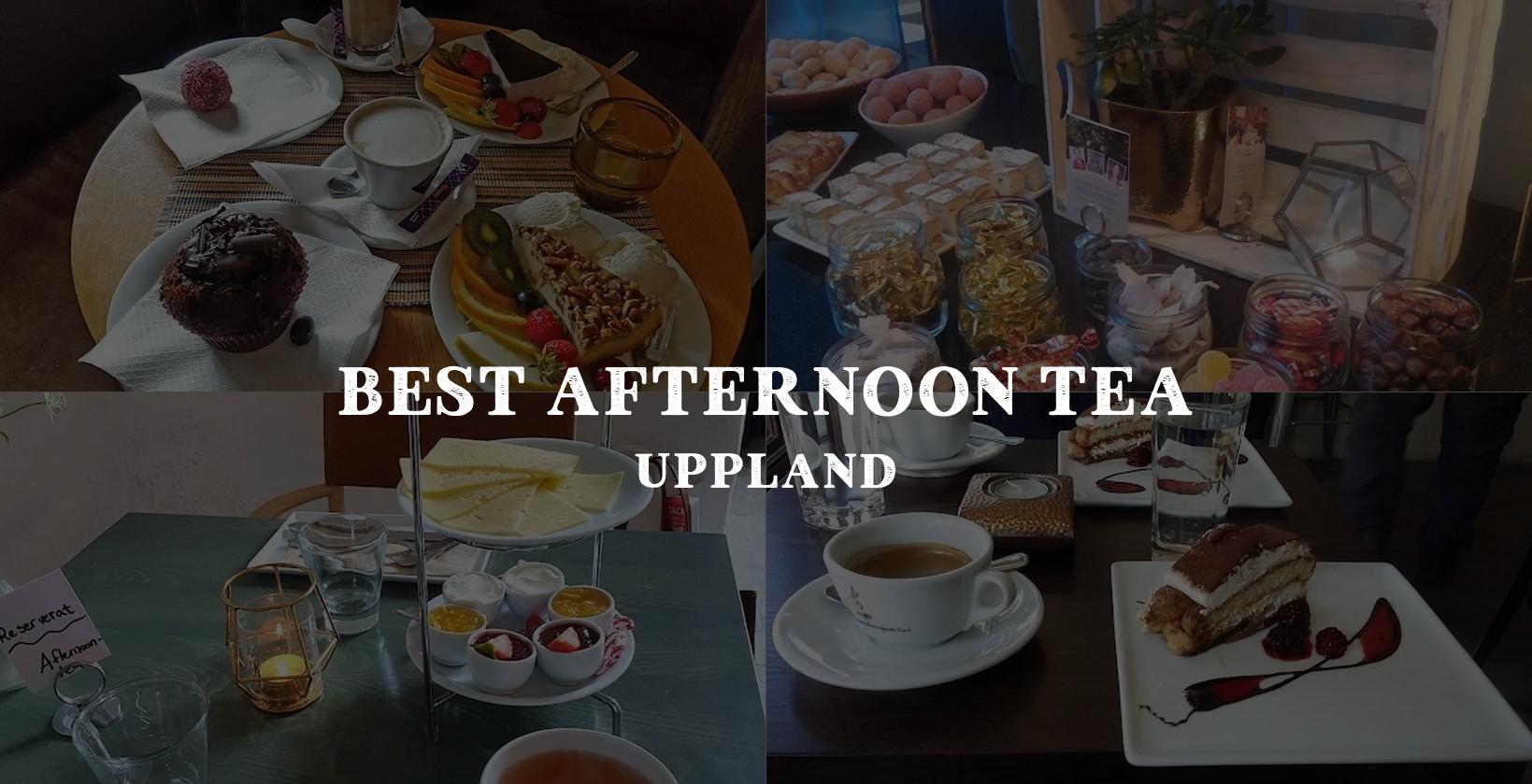 Choosing the perfect spot for afternoon tea in Uppland